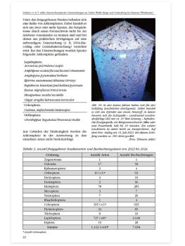 Entomofaunistische Untersuchungen im Gebiet Weiße Berge und Ochsenberg bei Kamenz (Westlausitz)