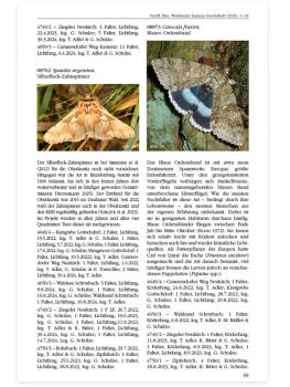 Entomofaunistische Untersuchungen im Gebiet Weiße Berge und Ochsenberg bei Kamenz (Westlausitz)