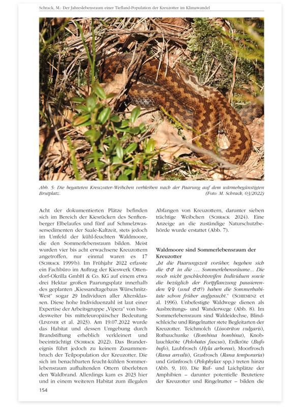 Band Seite 154 Kreuzotter Waldmoore Grossdittmannsdorf Laußnitzer Heide