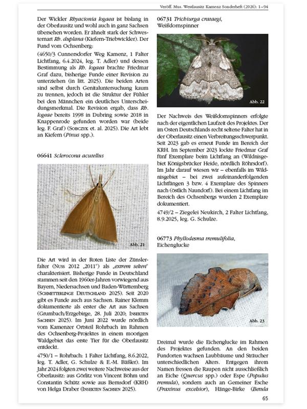 Entomofaunistische Untersuchungen im Gebiet Weiße Berge und Ochsenberg bei Kamenz (Westlausitz)